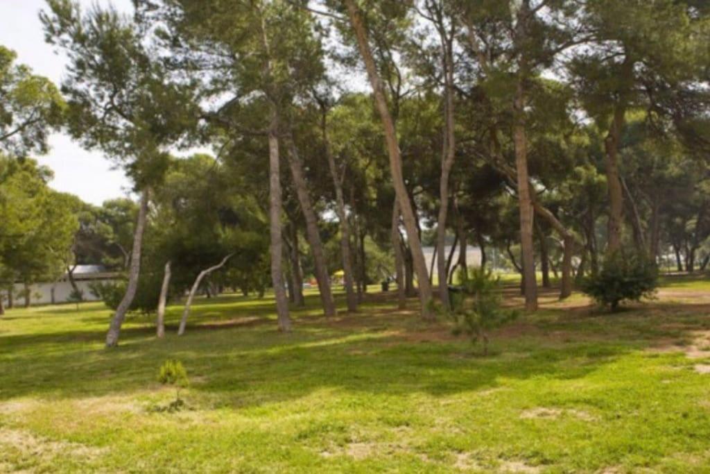 Adosado, Wifi, Playa, Lugar Espacioso, Vacacional Ferienhaus *